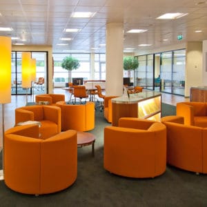 Commercial Ceiling