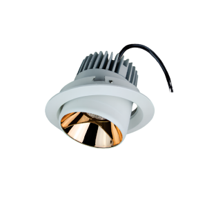 Miso Adjustable Downlight