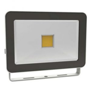 Chara Floodlight