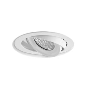Lynx Tiltable Downlight