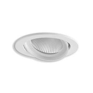 Lynx Tiltable Downlight