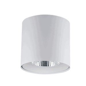 Round Seginius Downlight