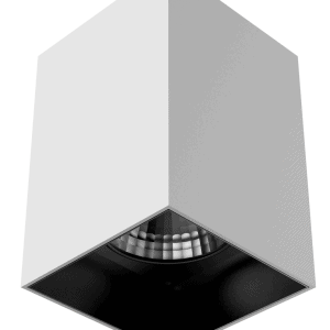 Square Seginius Downlight