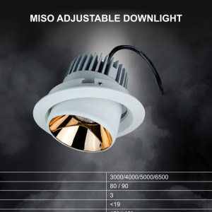 Miso Adjustable Downlight